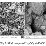 Fig 7. SEM images of La2CO5 at 600°C