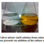 Fig. 1. Colour change of silver nitrate 1mM solution from colourless to yellow brownish as the reaction proceeds on addition of the culture supernatant.