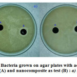 Fig. 7. Bacteria grown on agar plates with activated carbon as control (A) and nanocomposite as test (B) : a) E. coli  b) B. subtilis 