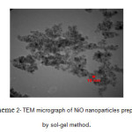 Scheme 2- TEM micrograph of NiO nanoparticles prepared by sol-gel method.