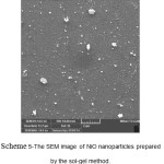 Scheme 5-The SEM image of NiO nanoparticles prepared by the sol-gel method.