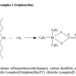 Figure 1. Reaction scheme ofbis(methoxyethylamine), carbon disulfide, and dibutyltin(IV) dichloride (complex1)/triphenyltin(IV) chloride (complex2) 