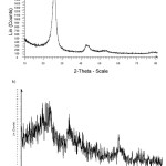 Fig.1. XRD patterns of (a) activated MWCNT, (b) MnO2/MWCNT nanocomposites.