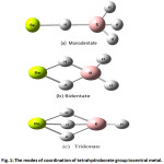 Fig. 1: The modes of coordination of tetrahydroborate group tocentral metal.