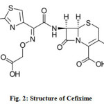 Fig. 2: Structure of Cefixime