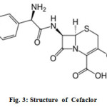 Fig. 3: Structure  ofCefaclor