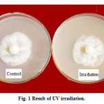 Fig. 1 Result of UV irradiation.