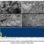  Figure.5. (After adsorption) SEM images and the corresponding EDX peaks showing the abundance of Cr species on the surface of the film