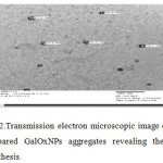 Fig.2.Transmission electron microscopic image of prepared GalOxNPs aggregatesrevealing their synthesis.