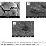 Figure 1. SEM photographs of mild steel surfaces (a) corroded; (b) inhibited with VitC; and (C) VitB1, after immersion in 0.5 M HCl for 2 days. Magnifying power: X 2000.