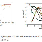 Figure 4. (a) Nyquist and (b) Bode plots of VitB1, with immersion time in 0.5 M HCl solution starting from 30 min till 72 h at 37 °C. 