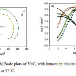 Figure 5. (a) Nyquist and (b) Bode plots of VitC, with immersion time in 0.5 M HCl solution starting from 30 min till 72 h at 37 °C. 