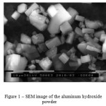 Figure 1 – SEM image of the aluminum hydroxide powder