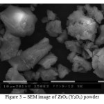 Figure 3 – SEM image of ZrO2 (Y2O3) powder