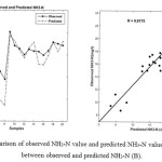 Figure 5.Comparison of observed NH3-N value and predicted NH3-N value (A); correlation between observed and predicted NH3-N (B).