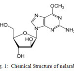 .Fig. 1:  Chemical Structure of nelarabine