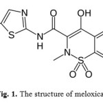 Fig. 1. The structure of meloxicam