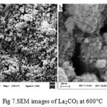 Fig 7.SEM images of La2CO5 at 600°C