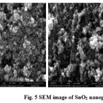 Fig. 5 SEM image of SnO2 nanoparticles