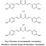 Fig. 1:Structure of curcuminoids: curcumin(a), demethoxy curcumin (b)and bis-demethoxy curcumin(c).