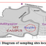 Fig 1 Diagram of sampling sites location       