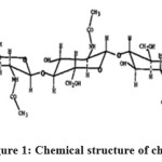 Figure 1: Chemical structure of chitin