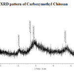 Figure 5: XRD pattern of Carboxymethyl Chitosan