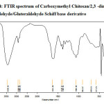 Figure 4: FTIR spectrum of Carboxymethyl Chitosan/2,3 -dimethoxy Benzaldehyde/Gluteraldehyde Schiff base derivative