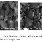 Fig.3:  Morphology of zeolite:   a-SEM image for H-ZSM-5(pyrr.) b-SEM image for H- ZSM-5(pyrr.)-MG