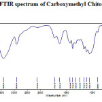 Figure 2: FTIR spectrum of Carboxymethyl Chitosan