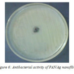 Figure 6: Antibacterial activity of PAN/Ag nanofibre 
