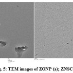 Fig. 5: TEM images of ZONP (a); ZNSC (b)