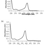 Fig. 7: UV-Visible spectra of the purified Mb obtained  from DEAE-cellulose column of  (a) the 30 kDaretainate (b) the 10 kDaretainate