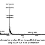 Fig. 9: The molecular ion produced from the purified striped snake-head fish Mb  using MALDI-TOF mass spectrometry