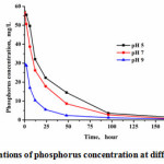 Fig.4: The variations of phosphorus concentration at different pH values