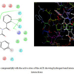 Figure 3. 2D/3D interaction of the compound (6) with the active sites of the ACE showing hydrogen bond interaction and non-covalent lipophilic interactions