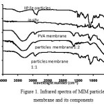 Figure 1. Infrared spectra of MIM particles  membrane and its components