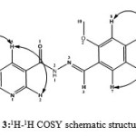 Fig. 3:1H-1H COSY schematic structure for HL