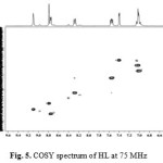 Fig. 5. COSY spectrum of HL at 75 MHz