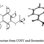 Fig. 6. Schematic structure form COSY and Geometrical Optimization for HL