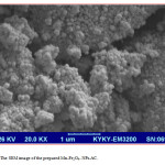 Fig. 1.The SEM image of the prepared Mn-Fe2O4- NPs-AC.