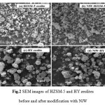 Fig.2 SEM images of HZSM-5 and HY zeolites  before and after modification with NiW