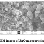 Fig. 5a, 5b: FE-SEM images of ZnO nanoparticles
