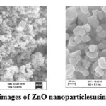 Fig. 6a, 6b: FE-SEM images of ZnO nanoparticlesusing0.1% AI gum