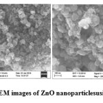 Fig. 6e, 6f: FE-SEM images of ZnO nanoparticlesusing 0.5% AI gum