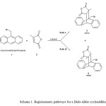 Scheme 1. Regioisomeric pathways for a Diels-Alder cycloaddition