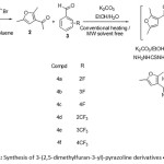 Scheme 1: Synthesis of 3-(2,5-dimethylfuran-3-yl)-pyrazoline derivatives 4a-f