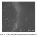 Picture 10 – SEM picture of nanoparticles of dispersion 2