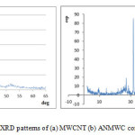 Fig. 1. XRD patterns of (a) MWCNT (b) ANMWC composite