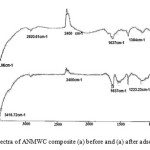 Fig. 3. FTIR spectra of ANMWC composite (a) before and (a) after adsorption process
